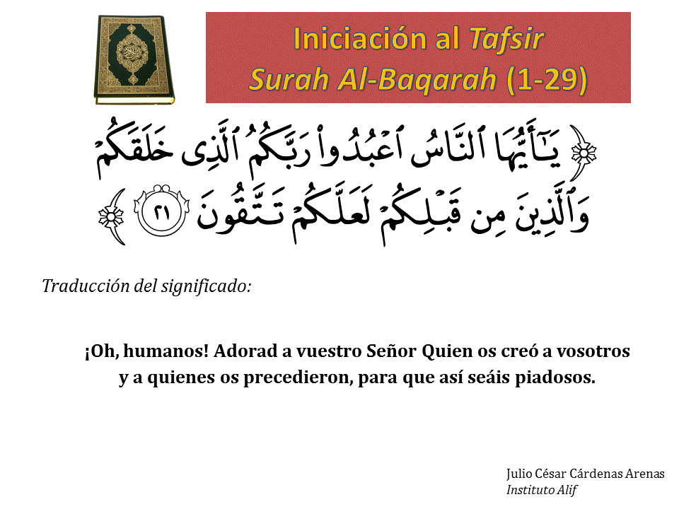 Diapositiva21
