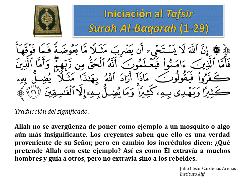 Diapositiva26