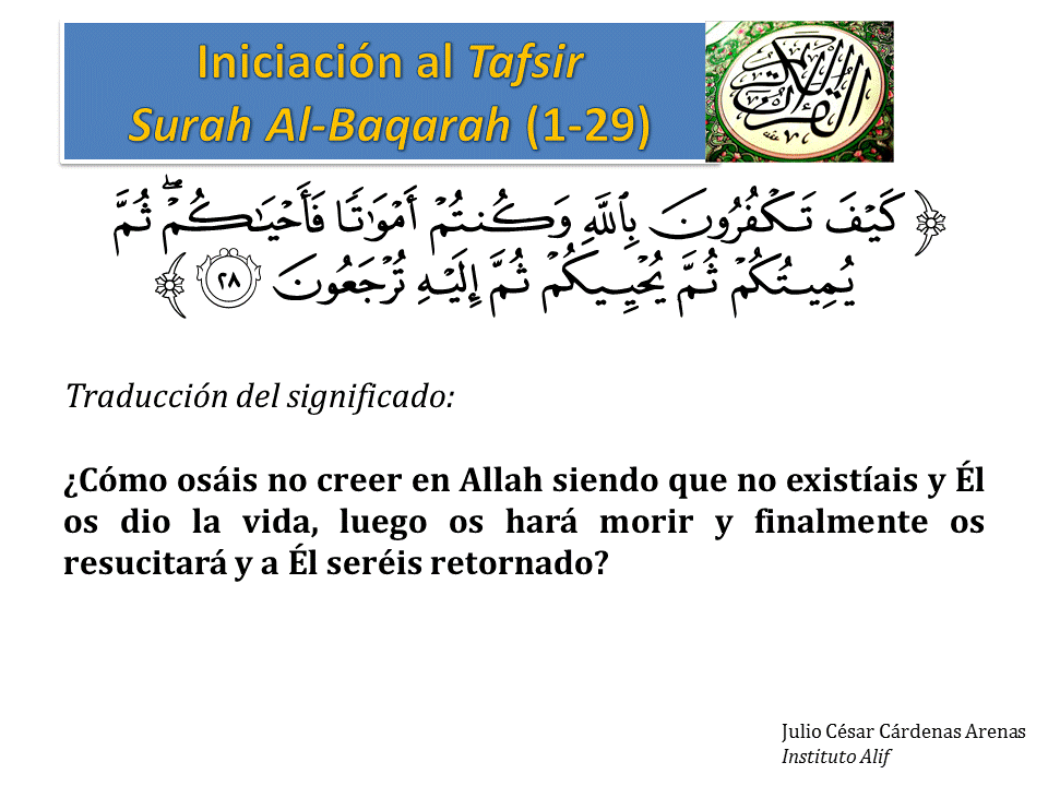 Diapositiva28