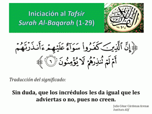Diapositiva6