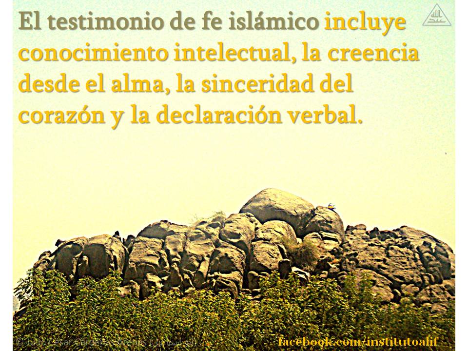 Islam_Musulman_Mahoma_Muhammad_arabe_Colombia (122)